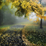 mysza831-under-the-yellow-umbrella